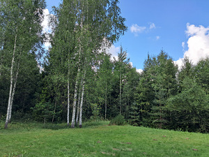 Urge, Kohila vald, Raplamaa (1 foto / 1)
