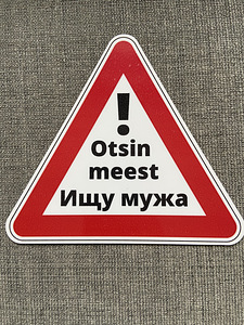 Magnet