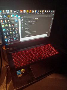 MSI (4 foto / 4)