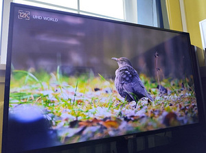 43" Philips 4K SMART televiisor (1 foto / 5)