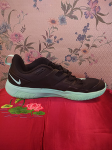 Tossud Nike Court Vapor Lite must/münt (4 foto / 7)