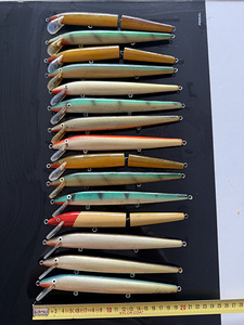 Landid voblerid (1 foto / 3)