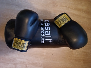 Vähekasutatud poksikott ja kindad Everlast (2 foto / 4)