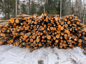 Küttepuud Дрова