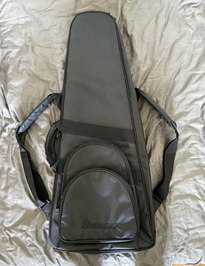 Электрогитара Ibanez Q54 Quest Sea Foam Green (8 фото из 10)