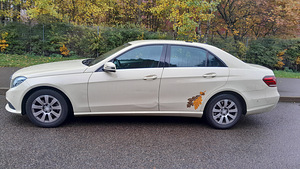 MB 200E (3 фото из 10)