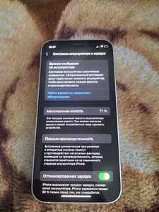 iPhone 12 mini (4 фото из 5)