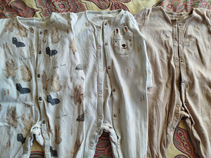 Beebiriided 68 (2 foto / 8)