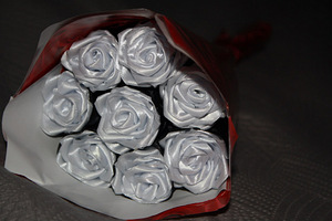 Roosid lintidest (2 foto / 7)
