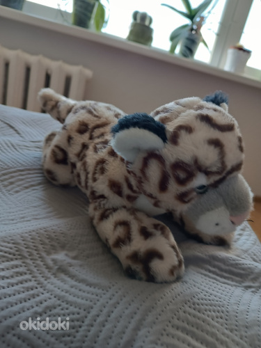 Pehme tiigrikutsikas