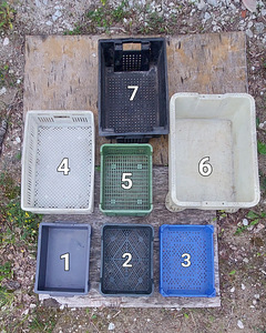 Kastid (2 foto / 2)