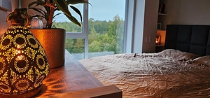 Mustakivi tee 25, Lasnamäe, Tallinn, Harjumaa (3 foto / 24)