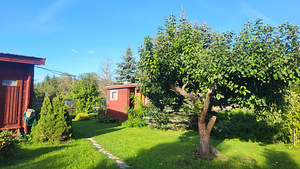 Kajaka tn 7, Aespa, Kohila vald, Raplamaa (10 foto / 12)