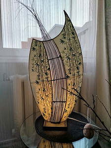 Ainulaadne lamp, valgusti (1 foto / 1)