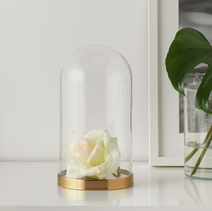 Alusega klaaskuppel IKEA (6 foto / 7)