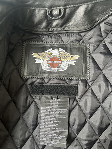 Harley Davidson Sõidutagi M (6 foto / 10)