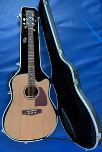Гитара Ibanez AW15ECE-LG (1 фото из 5)
