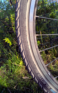 BH Peak elle 6.9 26" + naastrehvid + siselohv (2 foto / 3)