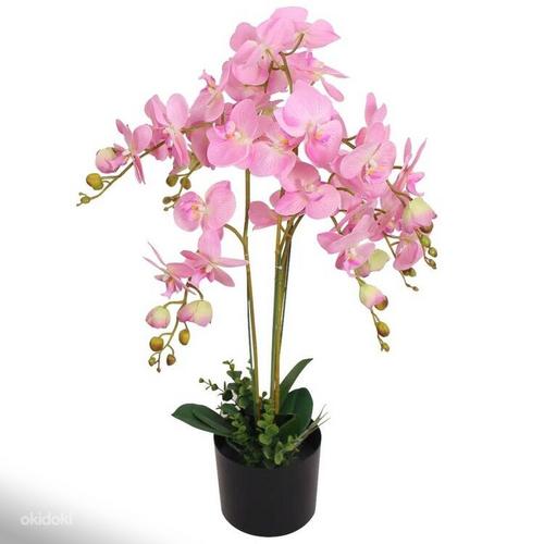 Kunstlill orhidee potis 75 cm, roosa (foto #1)