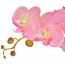 Искусственный цветок орхидея в горшке 75 см, розовый (фото #2)
