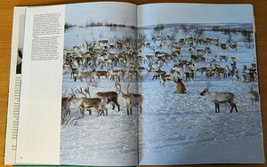 Продается книга "Norra" (7 фото из 8)