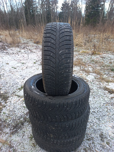 Naastrehvid R17/60/215 Bridgestone Blizak (1 foto / 4)