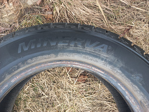 Naastrehvid R14/65/175 Minerva ECO STUD (4 foto / 4)