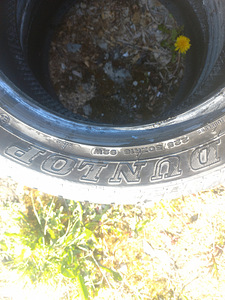Летние шины R16/50/225 Dunlop (4 фото из 5)