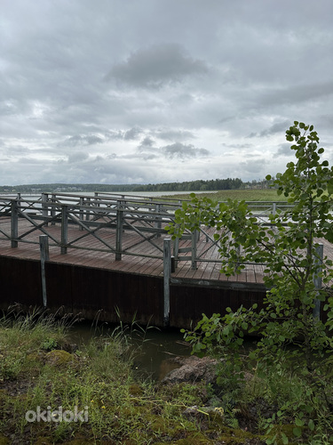 Sadamasild (ujuma), Ponttoonilaituri (valokuva #2)