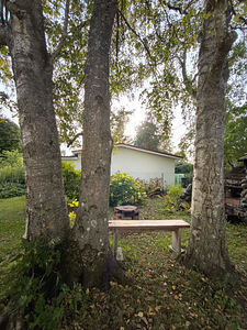 Müük krunt 8,98 a. järv Harku 5 min. (3 foto / 11)