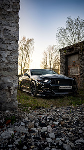 Ford Mustang 2017a GT V8 manuaal (2 foto / 5)