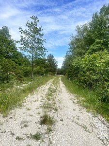 Pallasmaa, Muhu vald, Saaremaa (4 foto / 31)