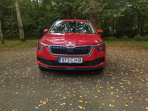 Skoda Kamiq (5 фото из 10)