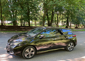 Nissan LEAF Pro Pilot 160kW (3 foto / 11)