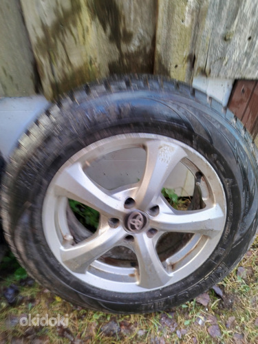 Autoveljed koos rehvidega