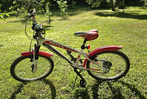 Bottecchia Boss 20 Hardtail (1 foto / 3)