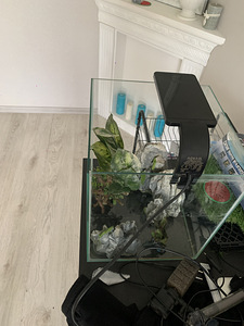 Kuubikujuline akvaarium (1 foto / 6)