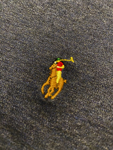 Polo Ralph Lauren (2 foto / 4)