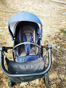 Bebetto Nico (2 foto / 8)