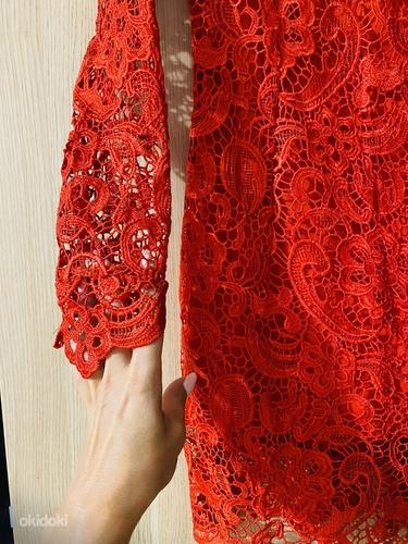 Эффектное ярко-красное роскошное кружевное мини-платье (фото #2)