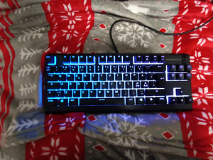 Müüa Steelseries APEX 3 TKL klaviatuur (2 foto / 2)