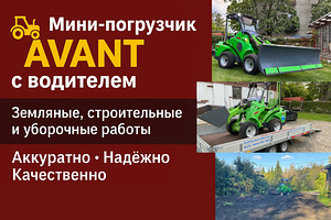 Мини-погрузчик AVANT с водителем (1 фото из 2)