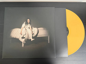 Billie Eilish - When We All Fall Asleep, Where DowWE GO? LP (1 foto / 2)