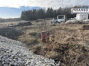 Metsõuna, Alliku, Saue vald, Harjumaa (11 foto / 17)