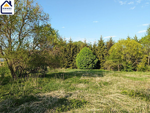 Harju maakond, Kuusalu vald, Salmistu küla, pedasaare tee 105 (7 foto / 19)