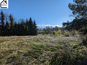 Harju maakond, Kuusalu vald, Salmistu küla, pedasaare tee 105 (10 foto / 19)