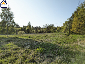 Harju maakond, Kuusalu vald, Salmistu küla, pedasaare tee 105 (17 foto / 19)