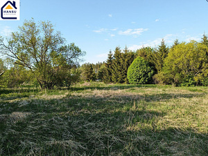 Harju maakond, Kuusalu vald, Salmistu küla, pedasaare tee 105 (18 foto / 19)