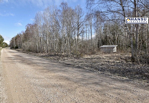 Intsu, Roobaka, Saaremaa vald, Saaremaa (13 foto / 29)