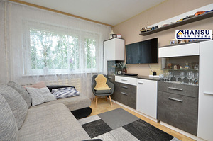 Kivila tn 4, Lasnamäe, Tallinn, Harjumaa (11 foto / 26)
